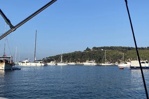 Çam Limanı