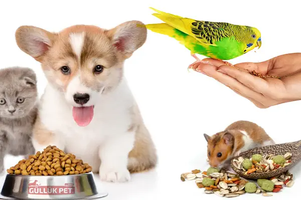 GüllükPet Toptan Petshop Malzemeleri Antalya