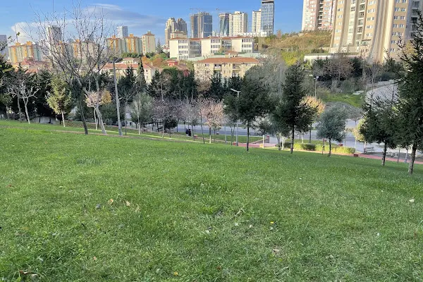 T.C. ATAŞEHİR BELEDİYESİ ERGUVAN BARIŞ PARKI