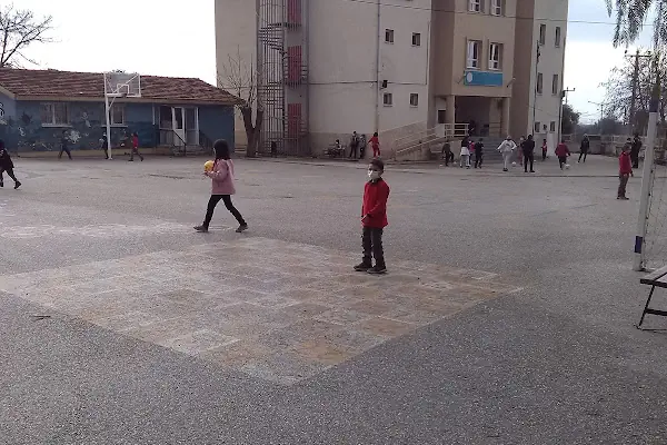 Zeytinova İlköğretim Okulu