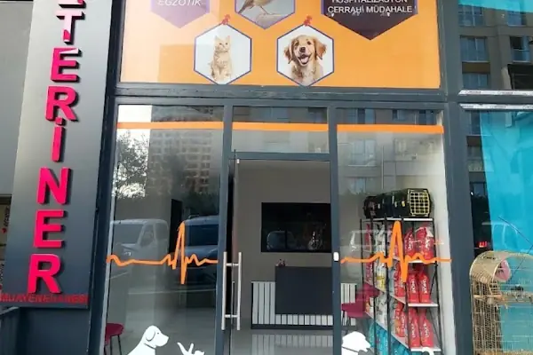 ALVİN 7/24 kedi-köpek ,kuş ve egzotik veteriner kliniği