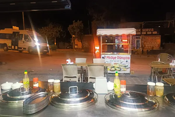 Şırdancı Bekir