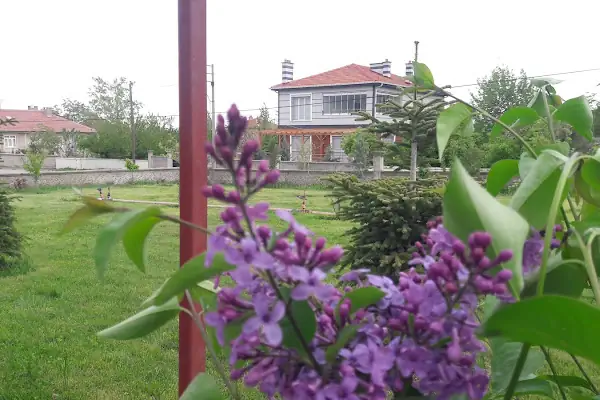 Mimar Kardeşler Etli Pide Fırını