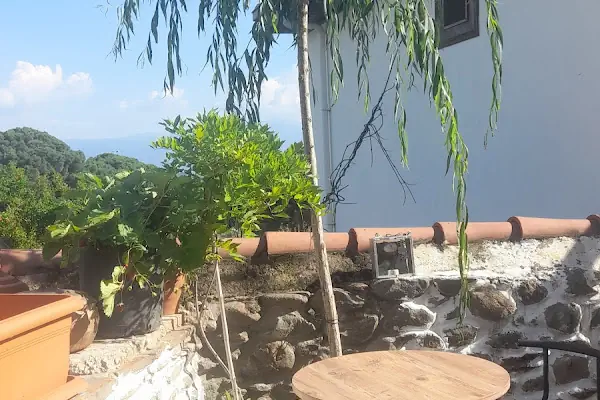 İzzet Efendi zekiye hanım pansiyon taş konak birgi.