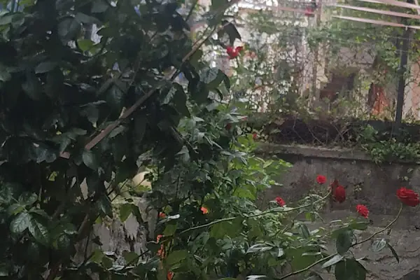 Bayramoğlu Sitesi