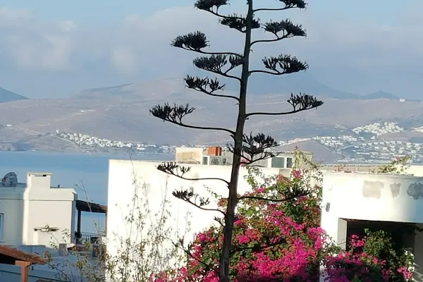 Smartline RİVA Bodrum Resort Otel