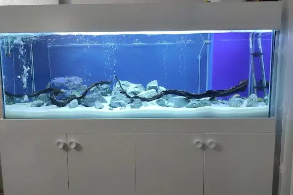 ÇINAR AKVARYUM