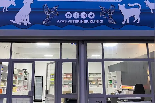 turkcell- elmadağlı iletişim