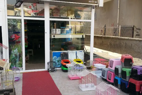 Can Pati Petshop
