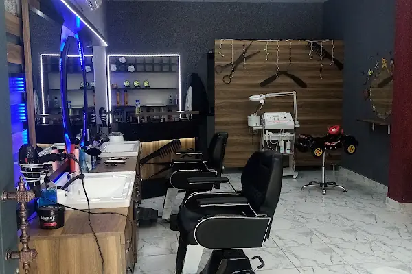 Lion erkek kuaförü