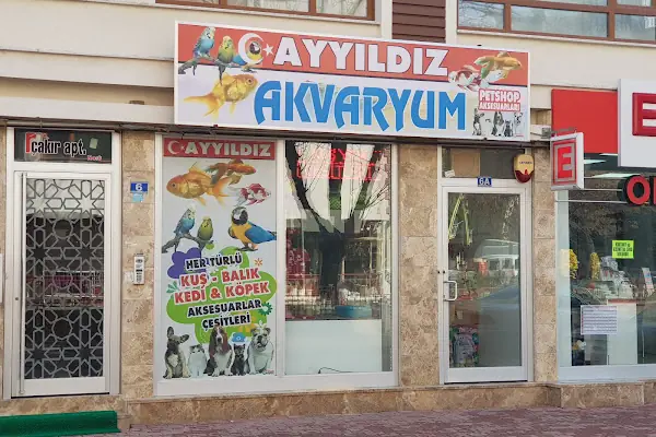 Konya Ayyıldız Petshop-Shop-Kedi maması-Konserve- Kedi kumu - Tuvaleti -yaş mama- Kedi-Köpek-Maması-pet shop-Pet dükkan