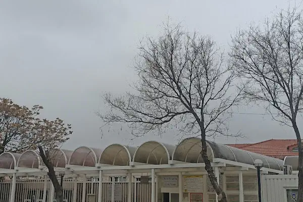 Almanya Büyükelçiliği: Hukuk, Konsolosluk ve Vize Bölümü
